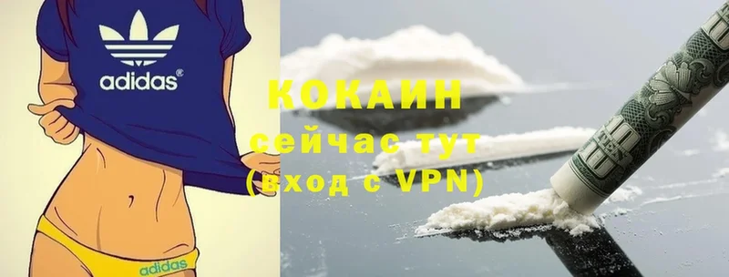 COCAIN Эквадор  Мураши 